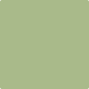 Benjamin Moore Color 431 Central Park