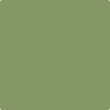 Benjamin Moore Color 433 Forest Hills Green