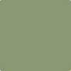 Benjamin Moore Color 440 Land of Liberty