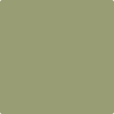 Benjamin Moore Color 482 Misted Fern