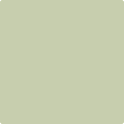 Benjamin Moore Color 486 Spring Meadow