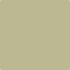 Benjamin Moore Color 494 Lewiville Green