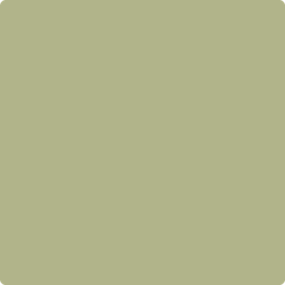 Benjamin Moore Color 502 Grasslands