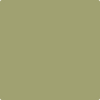 Benjamin Moore Color 503 Fraser Fir