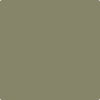 Benjamin Moore Color 510 Springfield Sage