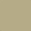 Benjamin Moore Color 515 Baby Turtle