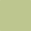 Benjamin Moore Color 537 Shades of Spring