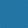 Benjamin Moore Color 784 Blue Macaw