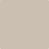 Benjamin Moore Color 996 Ashen Tan