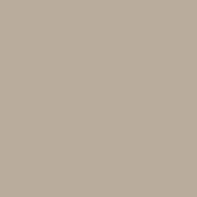 Benjamin Moore's CC-470 Rocky Road | Colorize - Colorize Inc.