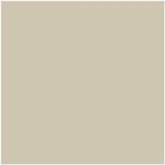 Benjamin Moore&rsquo;s HC-83 Grant Beige | Colorize - Colorize Inc.