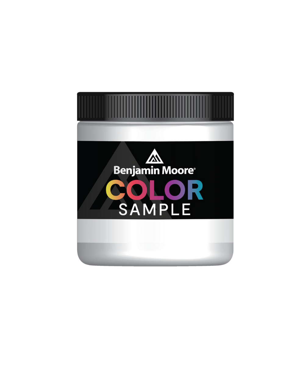 Benjamin Moore Half-Pint Color Samples