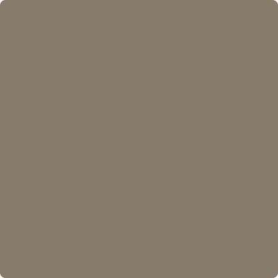 Benjamin Moore Color CC-540 Stampede