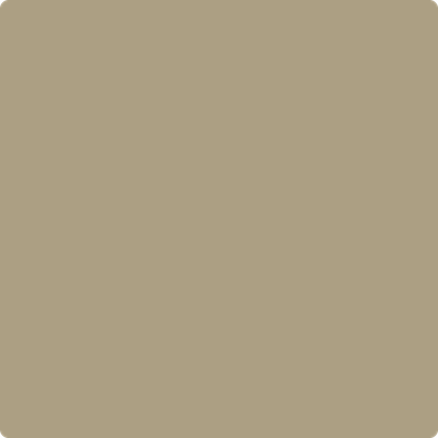 Benjamin Moore Colour CSP-1040 Shiitake Mushroom