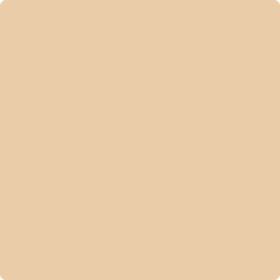 Benjamin Moore Colour CSP-1085 Face Powder