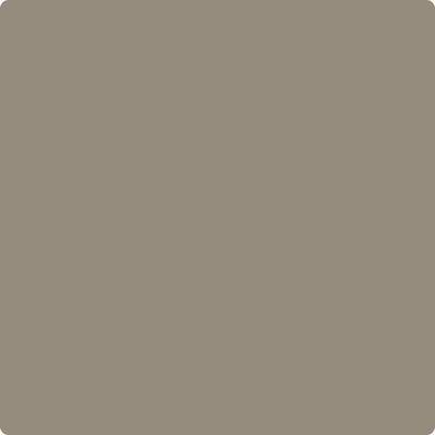 Benjamin Moore Colour CSP-205 Cathedral Gray