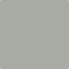 Benjamin Moore Color HC-179 Platinum Gray